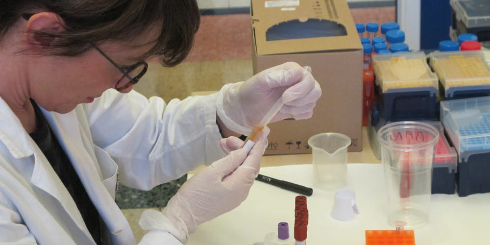 Il laboratorio del Centro Regionale